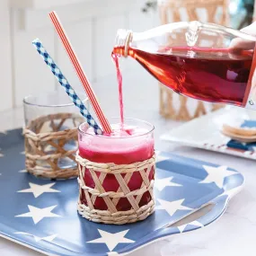 BLUE PLAID & RED STRIPED REUSABLE STRAWS