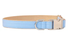 Carolina Blue Dog Collar