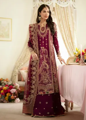 Dilnaaz Wedding Formals 2023 by Qalamkar | DN-07 - ALEENA