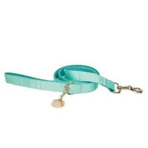 Doggie Republic - The Everyday Leash Aqua Mint