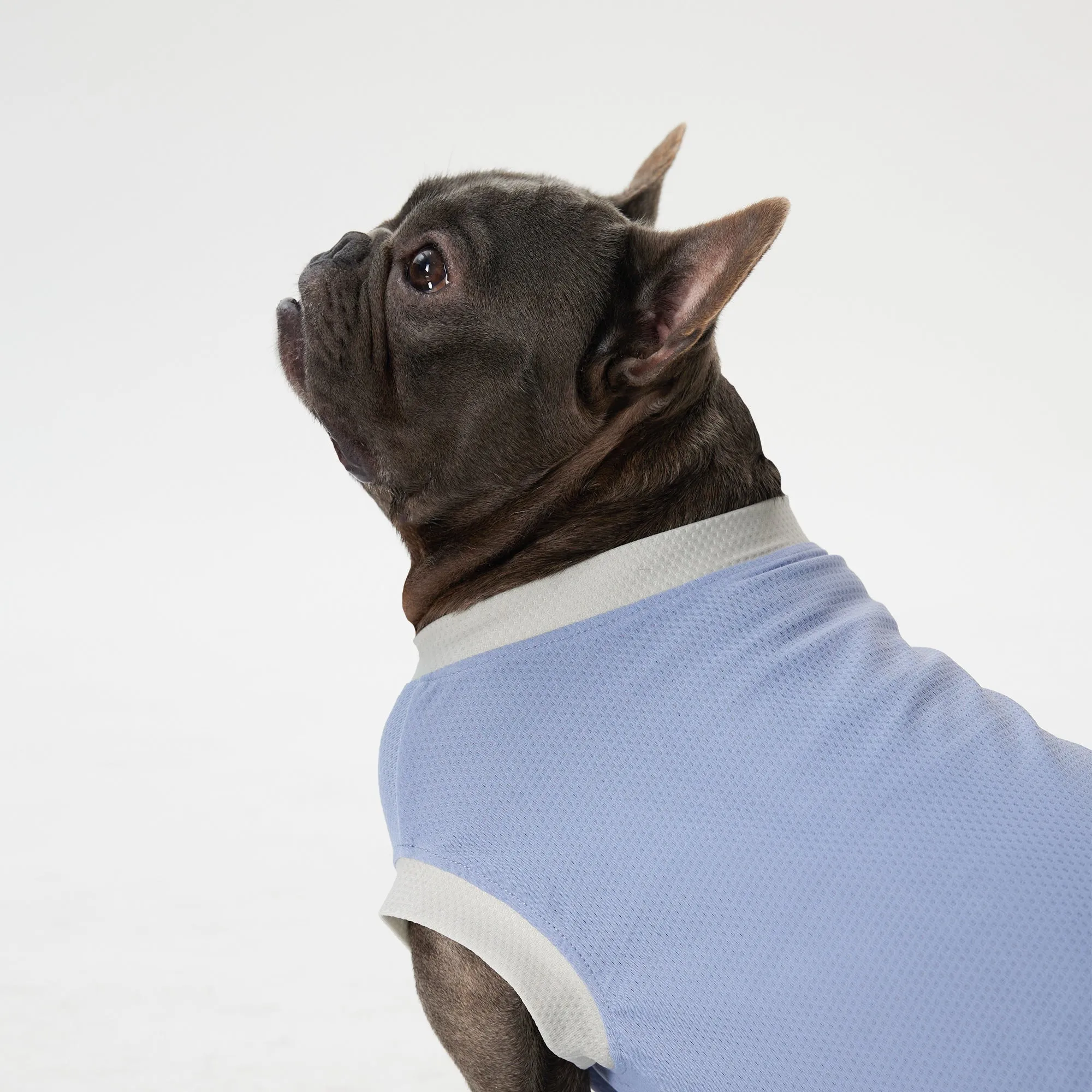 Elastic Ultrathin Dog Cooling T-Shirt - Blue