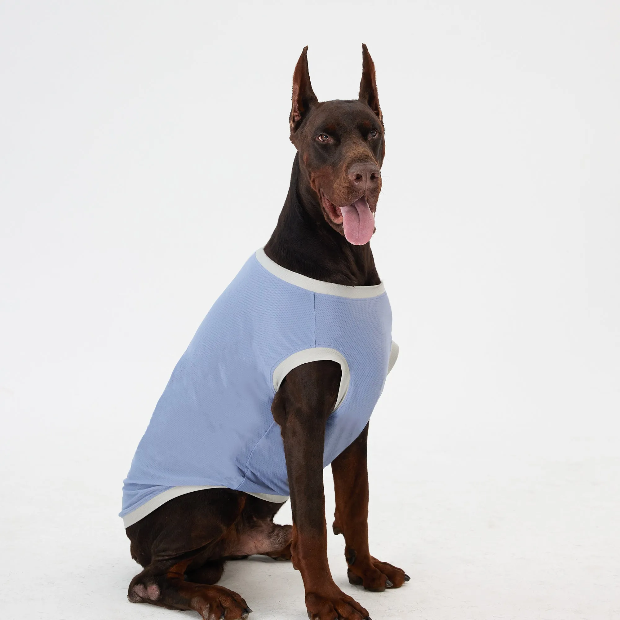 Elastic Ultrathin Dog Cooling T-Shirt - Blue