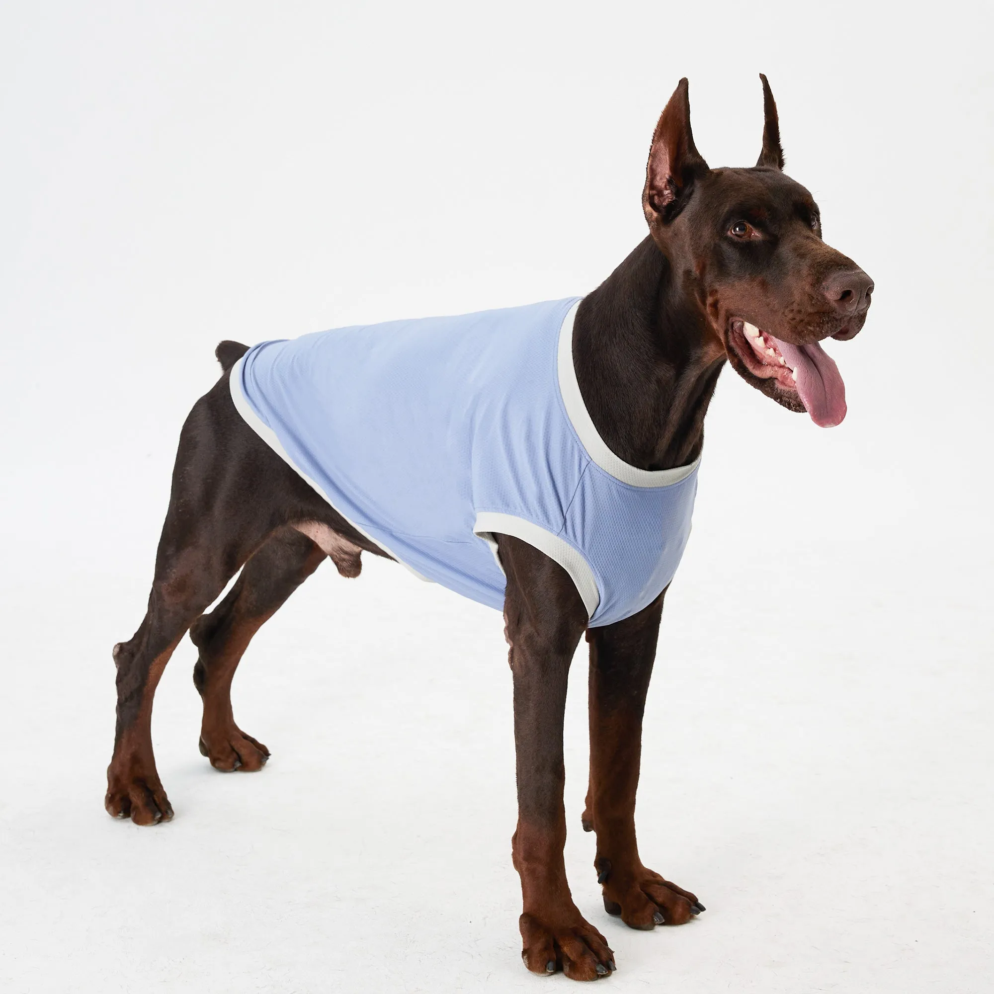 Elastic Ultrathin Dog Cooling T-Shirt - Blue