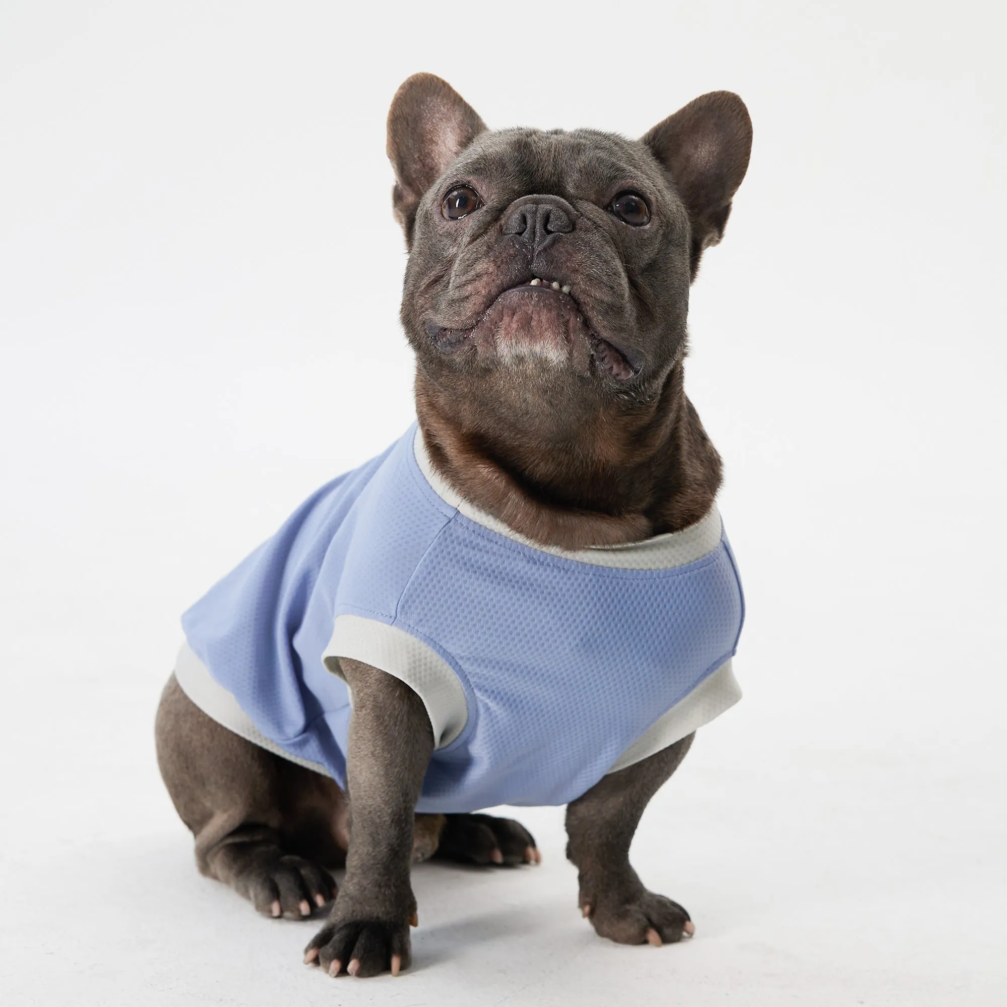 Elastic Ultrathin Dog Cooling T-Shirt - Blue